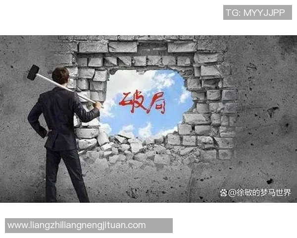 王娜的攀岩人生：在高峰与深渊之间的深度对话与自我探索